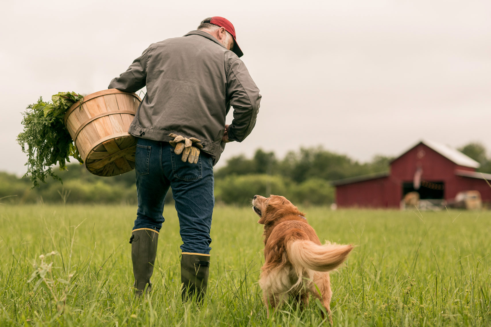 Photo of Man and Dog Gathering Produce by Lifestyle Photographer Jason Risner