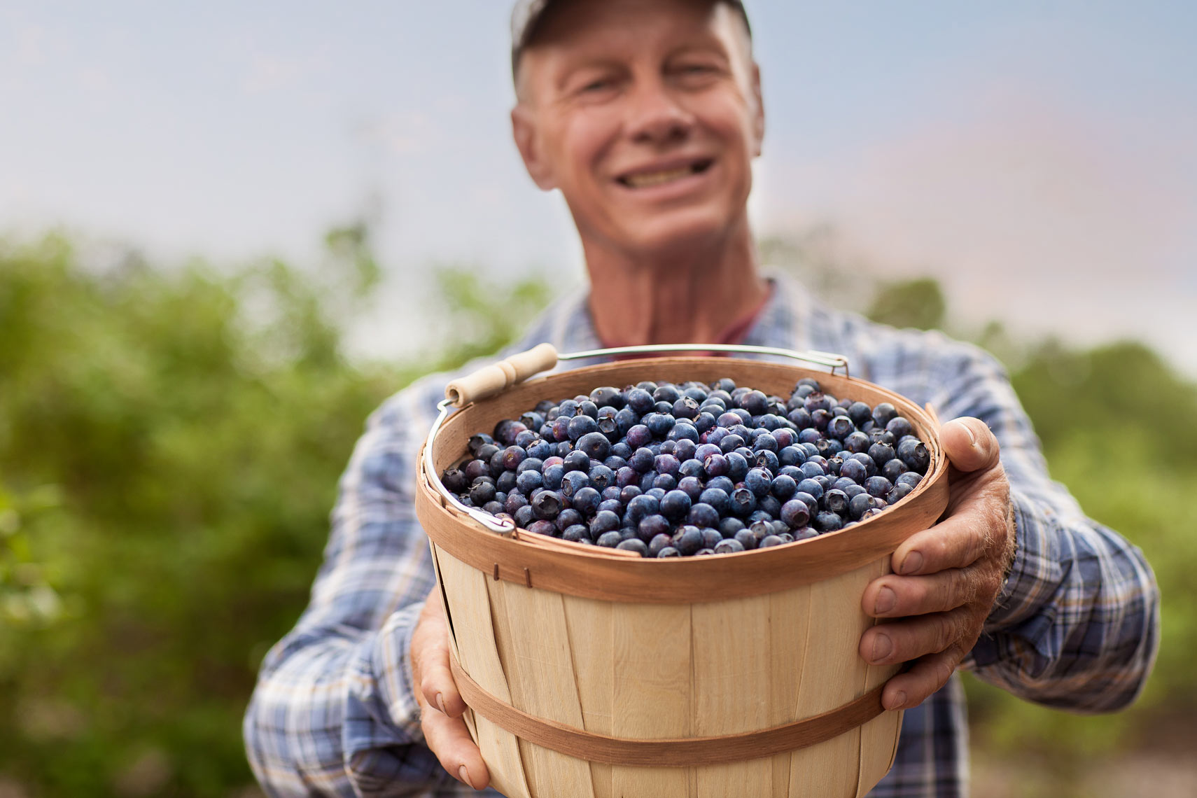 heb-blueberries-produce-department-jason-risner-photography-8696