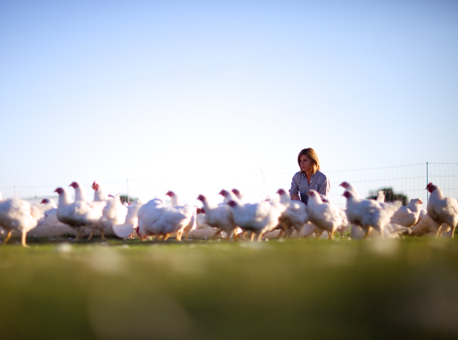 peeler-farms-chickens-texas-jason-risner-photography-1564