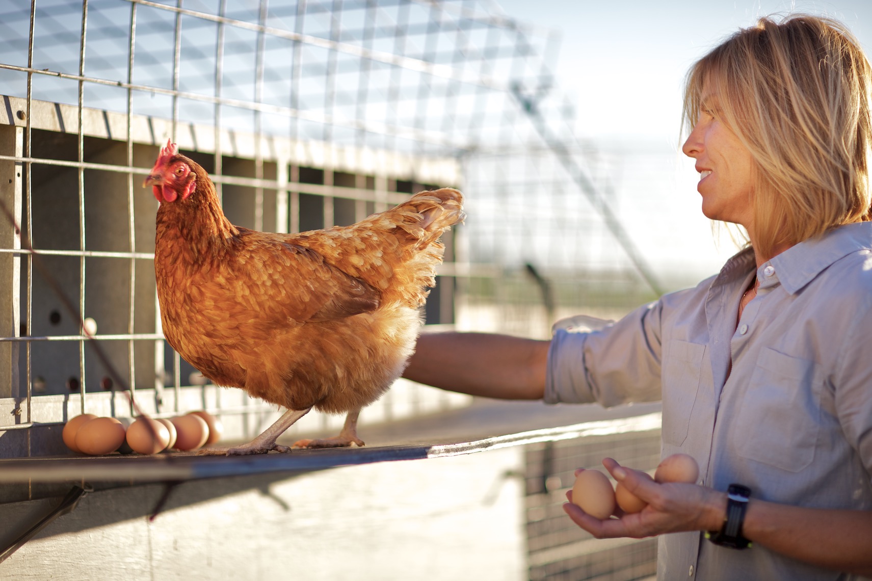 peeler-farms-chickens-texas-jason-risner-photography-1612