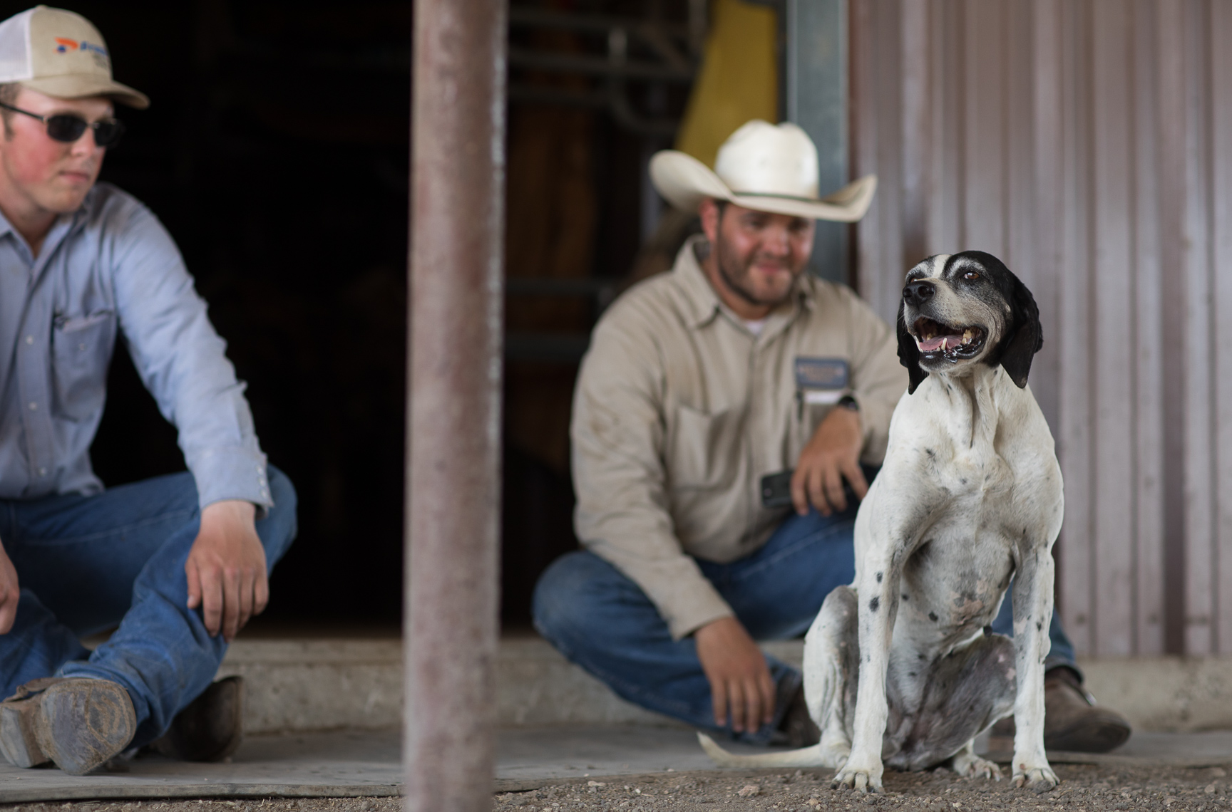 peeler-ranch-cattle-texas-jason-risner-photography-2444