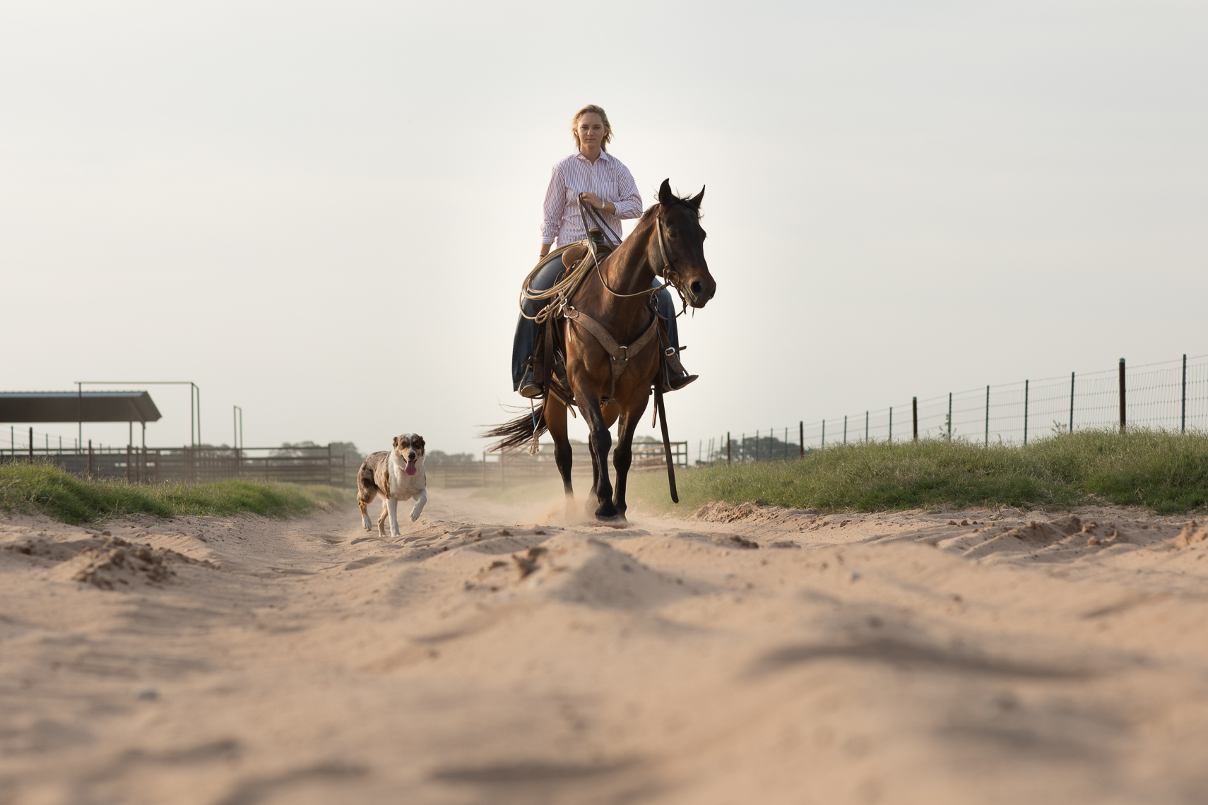 peeler-ranch-cattle-texas-jason-risner-photography-2513