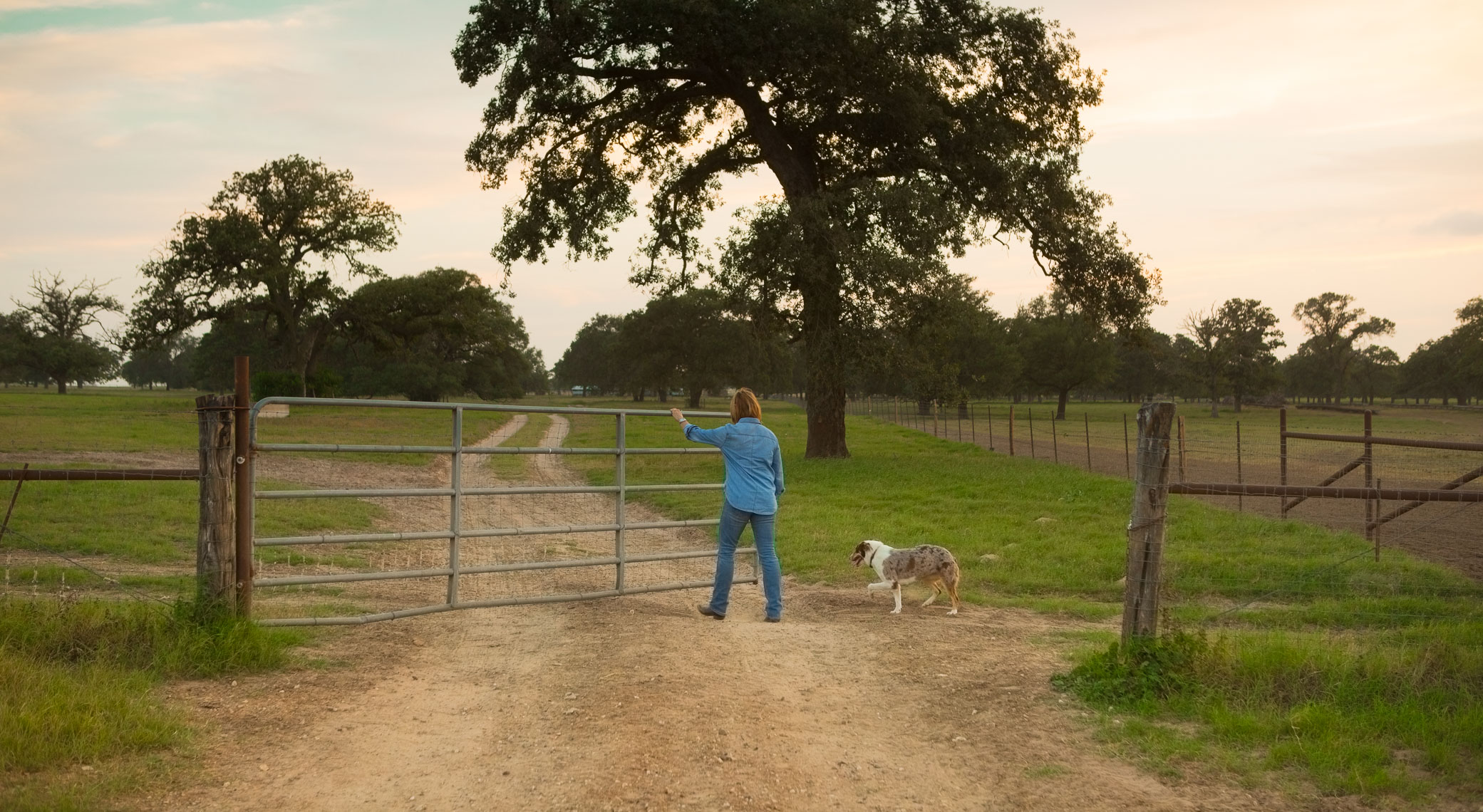 peeler-ranch-cattle-texas-jason-risner-photography-3012