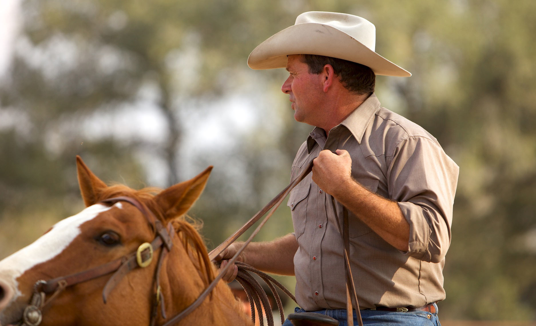 peeler-ranch-cattle-texas-jason-risner-photography-6411