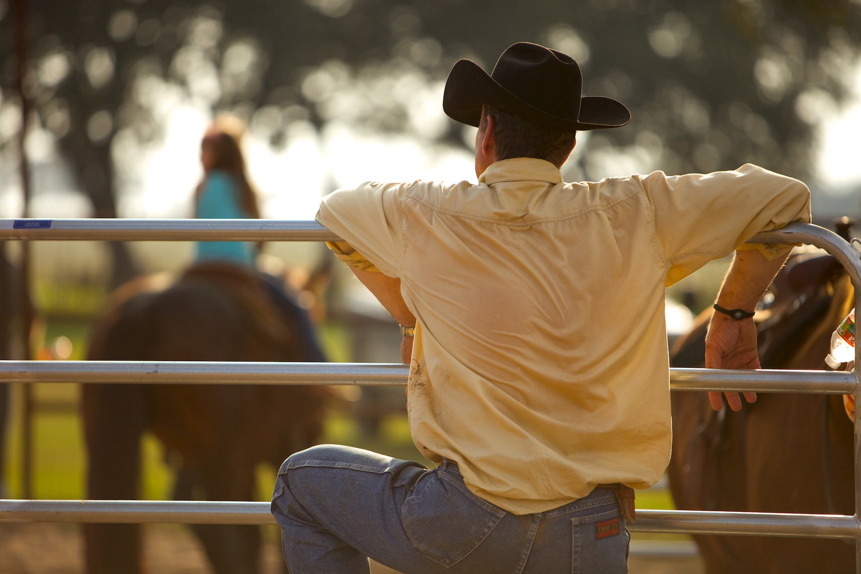 peeler-ranch-cattle-texas-jason-risner-photography-6622