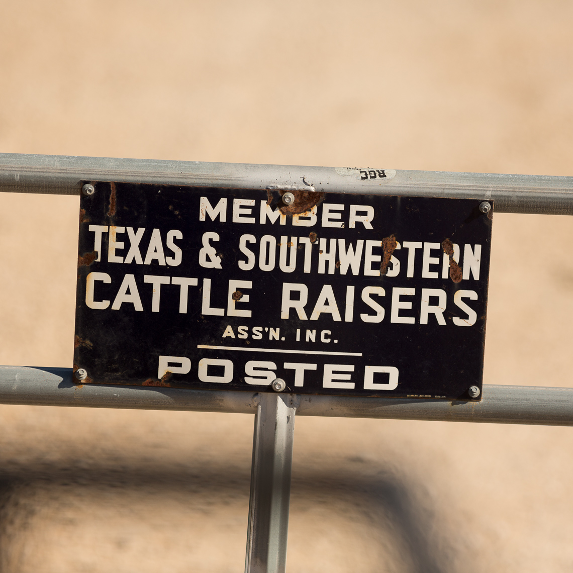 peeler-ranch-cattle-texas-jason-risner-photography-9499