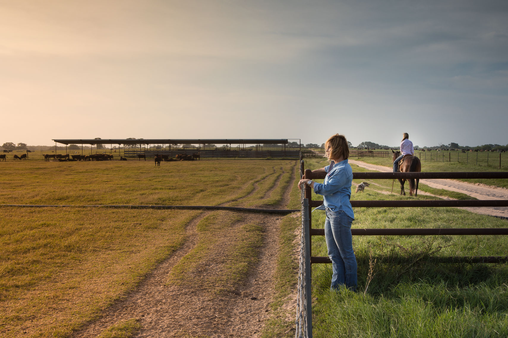 peeler-ranch-wagyu-beef-texas-jason-risner-photography-2469