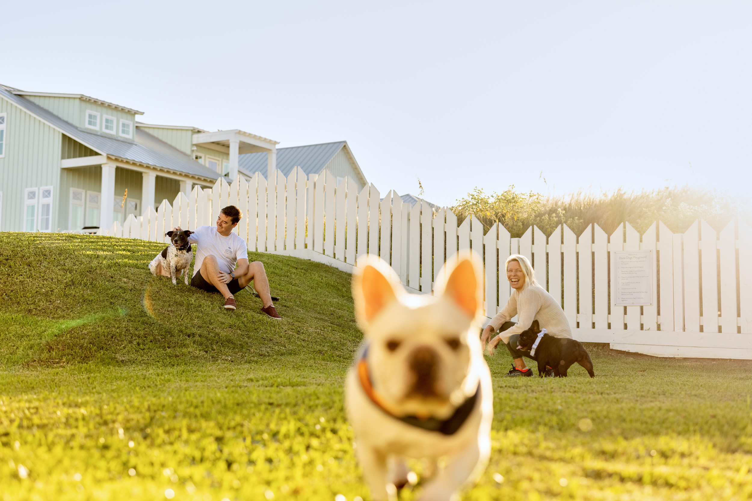 people and dogs at dog park with white picket fence