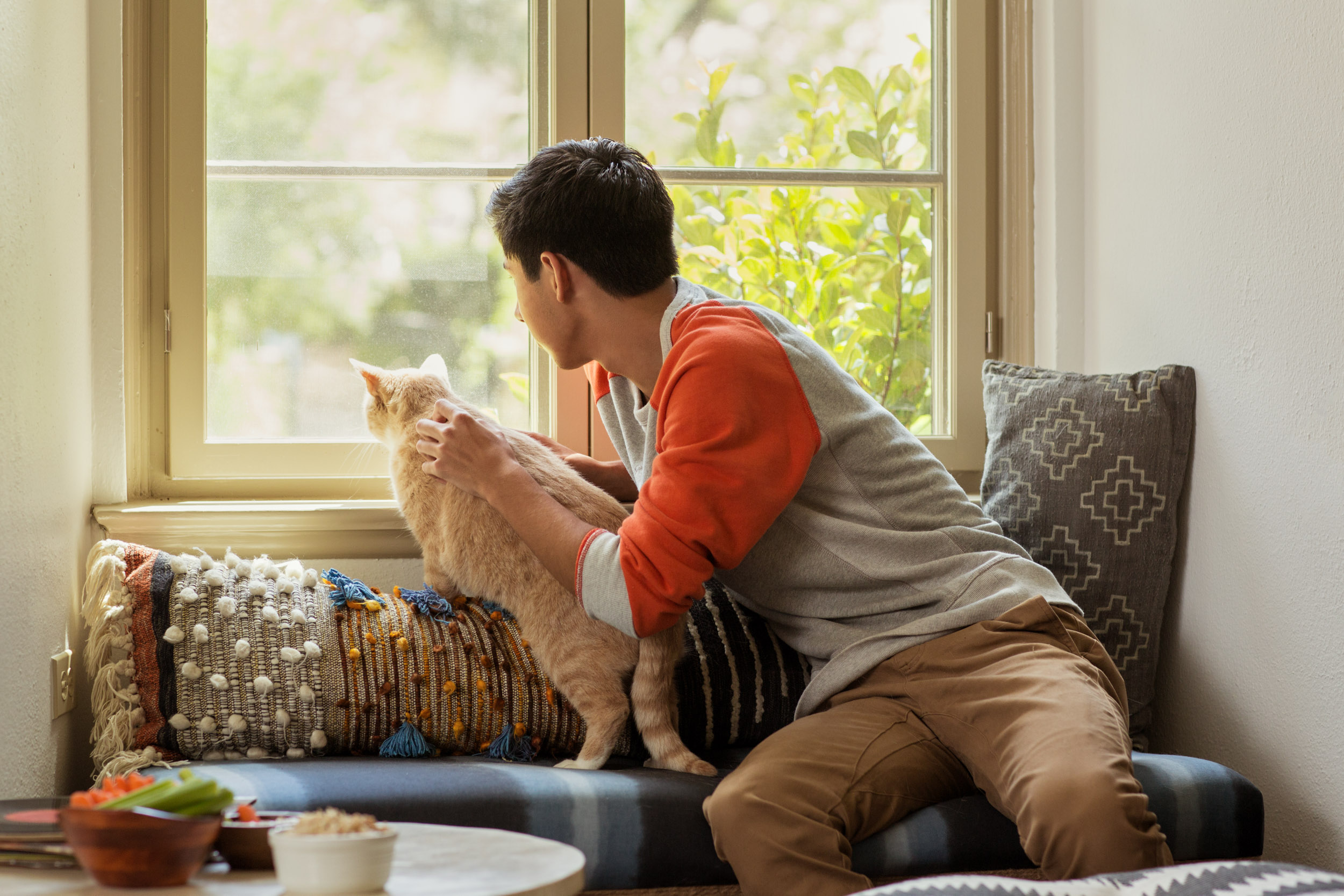 man and cat on couch looking out window together