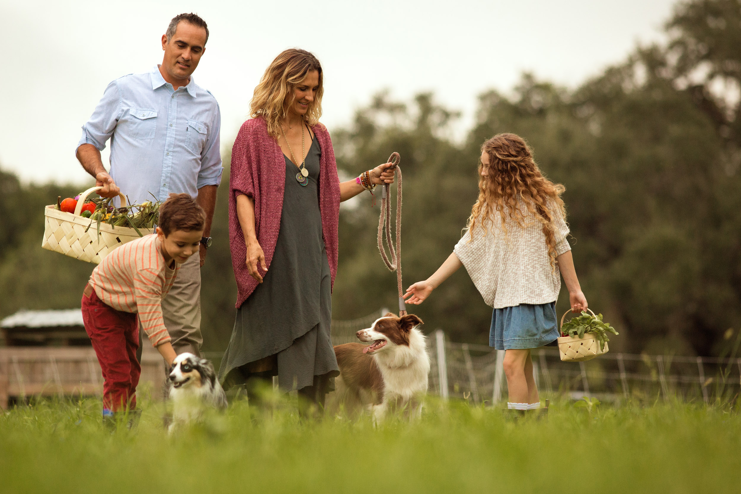 family walking on farm with dogs and green grass