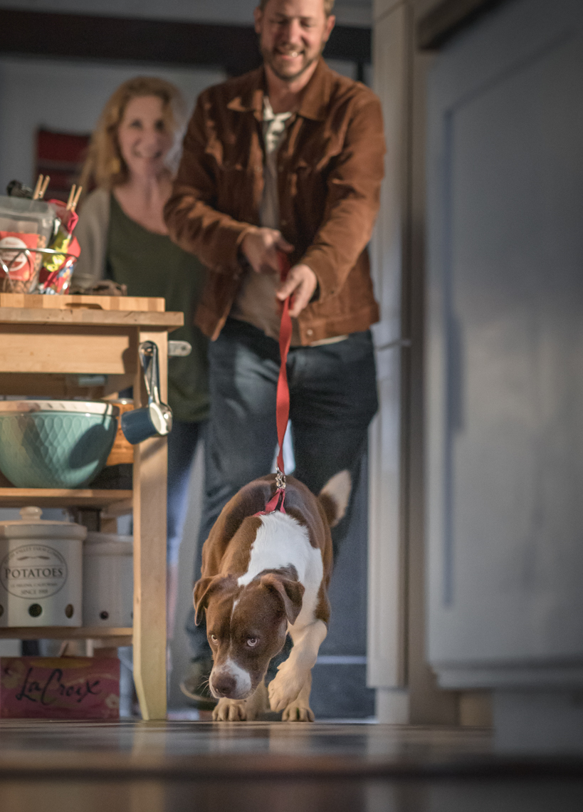 Lifestyle Photograph  of a Valero Rescue Dog in Their New Home by Jason Risner  